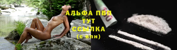 первитин Новодвинск