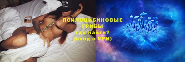 первитин Новодвинск