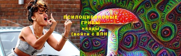 первитин Новодвинск