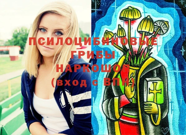 первитин Новодвинск