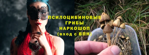 первитин Новодвинск