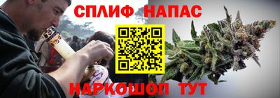тгк Гусев