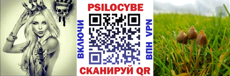 hydra рабочий сайт  что такое наркотик  Полысаево  Псилоцибиновые грибы Psilocybe 