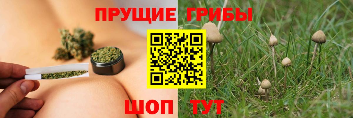 Полысаево  Галлюциногенные грибы Psilocybe  Вход с VPN 